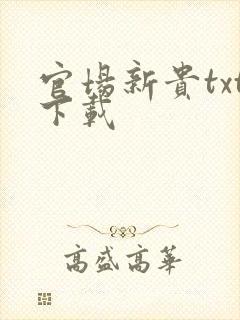 官场新贵txt下载