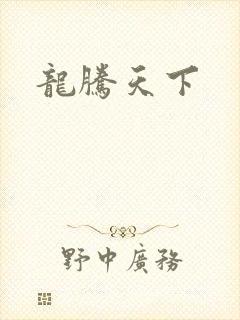 龙腾天下