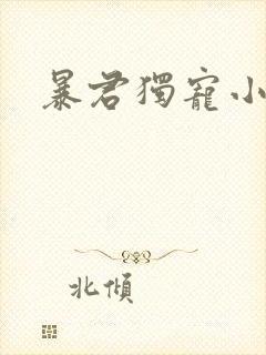 暴君独宠小俏后