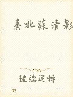 秦北苏清影小说