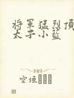将军猛烈顶弄h太子小蓝