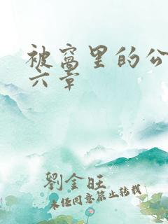 被窝里的公息第六章