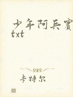 少年阿兵宾小说txt