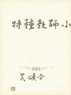 特种教师小说