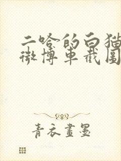 二哈的白猫师尊微博车截图