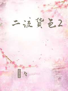 二流货色2