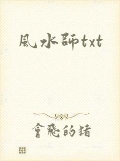 风水师txt