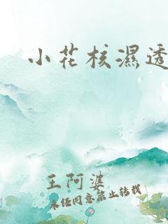 小花核湿透了