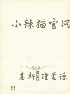 小辣猫官网