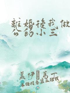 离婚后我做了老公的小三