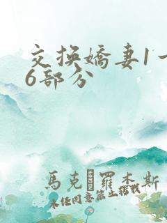 交换娇妻1一36部分