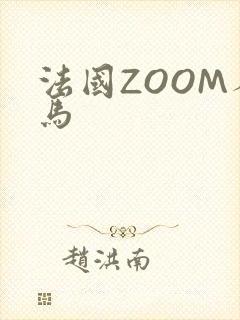 法国ZOOM人马