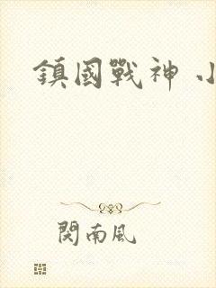 镇国战神 小说