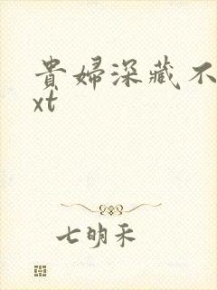 贵妇深藏不露txt