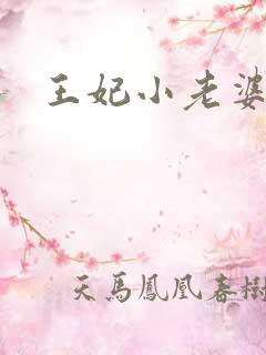王妃小老婆