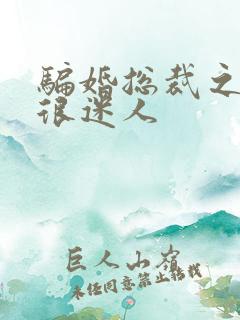 骗婚总裁之老婆很迷人