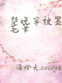 楚晚宁被墨燃塞毛笔