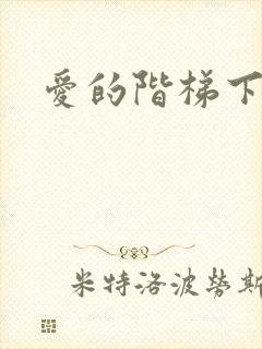爱的阶梯下载