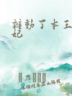 谁动了本王的悍妃