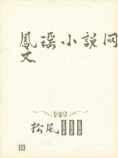 凤瑶小说网高辣文