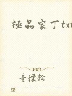极品家丁txt