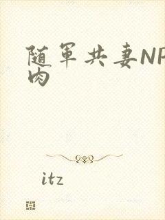 随军共妻NP纯肉