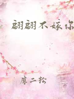翩翩不嫁你2
