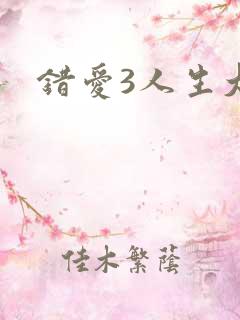 错爱3人生大事