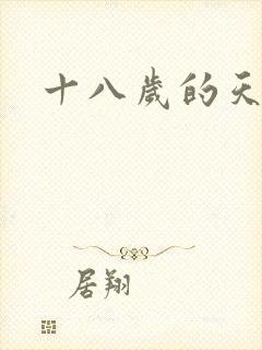 十八岁的天空续
