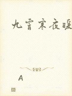 九霄寒夜暖小说
