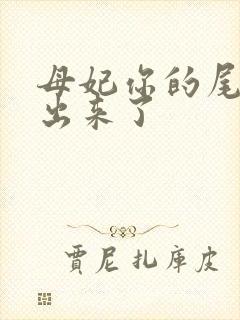 母妃你的尾巴露出来了