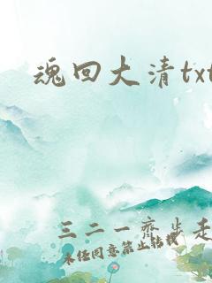 魂回大清txt