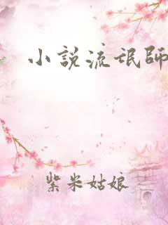 小说流氓师表