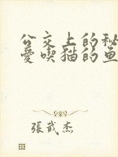 公交上的秘密 爱吃猫的鱼