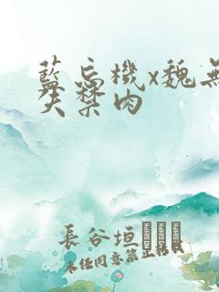 蓝忘机x魏无羡失禁肉