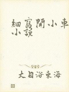 细写开小车车的小说