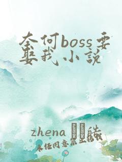 奈何boss要娶我小说