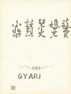 小说儿媳苏玥干柴烈火免费阅读