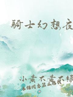 骑士幻想夜结局