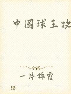 中国球王攻略
