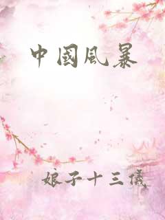 中国风暴