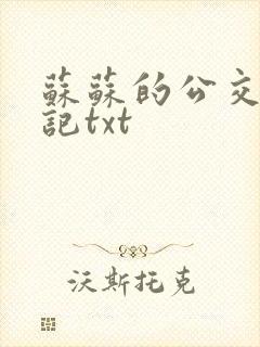 苏苏的公交车日记txt