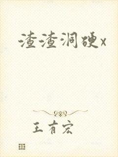 渣渣洞硬x