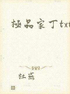 极品家丁txt