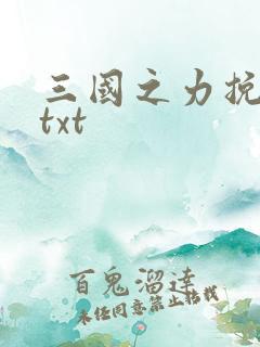 三国之力挽狂澜txt