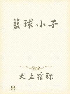 篮球小子