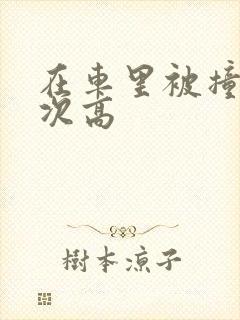 在车里被撞了八次高