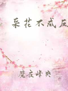 采花不成反被采