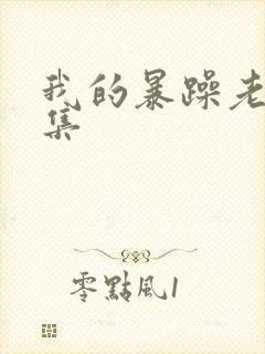 我的暴躁老妈全集