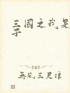 三国之我是皇太子